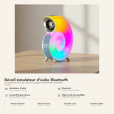 Simulateur d'aube Bluetooth spirale lumineuse