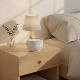 Réveil veilleuse lampe